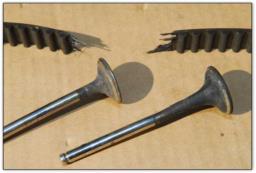 courroie de distribution, bestoil